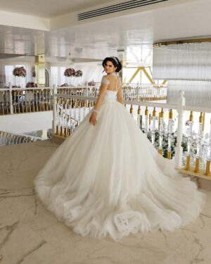 aly 6