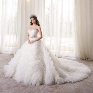 rochie de mireasa antarctica